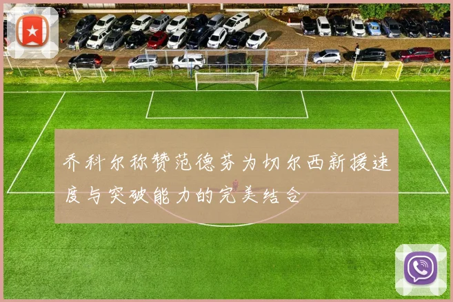乔科尔称赞范德芬为切尔西新援速度与突破能力的完美结合