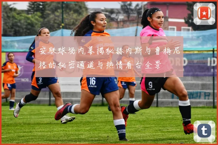 安联球场内幕揭秘赫内斯与鲁梅尼格的秘密通道与热情看台全景
