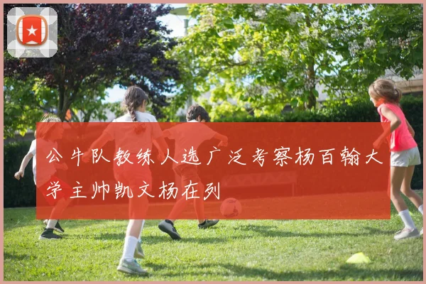 公牛队教练人选广泛考察杨百翰大学主帅凯文杨在列
