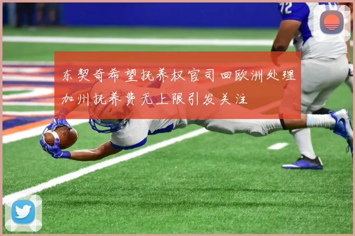 东契奇希望抚养权官司回欧洲处理加州抚养费无上限引发关注